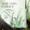 1-27.jpeg Aloe Vera Soothing Moisturizing Gel