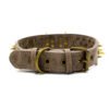 Spike Rivet Dog Collar