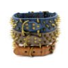 Spike Rivet Dog Collar