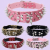 Anti-Bite Rivet Dog Collar Rope