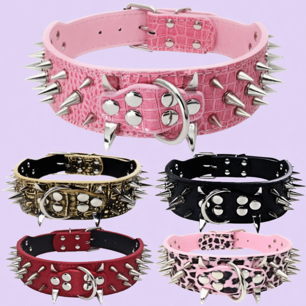 Anti-Bite Rivet Dog Collar Rope