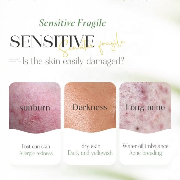 2-26.jpeg Aloe Vera Soothing Moisturizing Gel