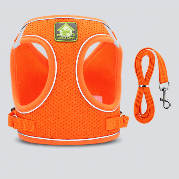Dog Harness Pet Supplies