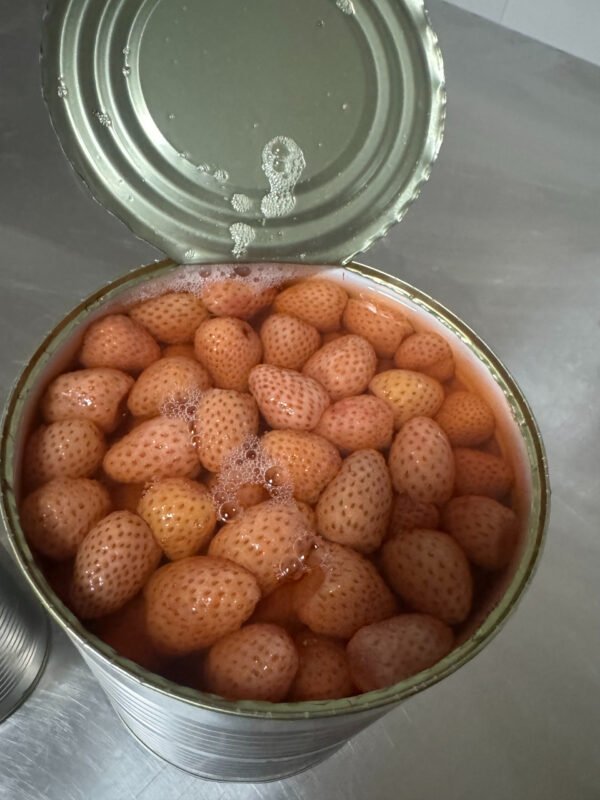 Fresh Canned Sweet Strawberry Fruit