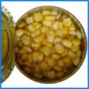 Canned Sweet Kernel Corn Vegetables