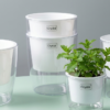 Transparent Self-Watering Resin Planter