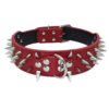 Anti-Bite Rivet Dog Collar Rope