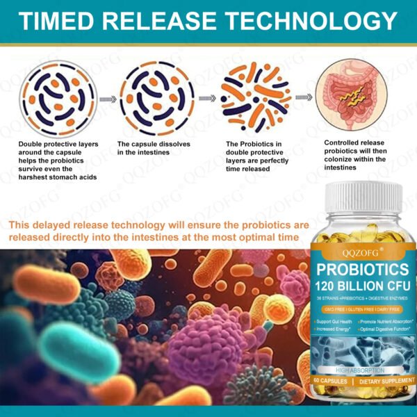 Digestive Probiotics Softgel Capsules