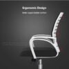 Ergonomic Mesh Office Chair