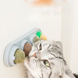 AB9D2D3B33E7A65B989722E16947CE36.jpeg Spinning Catnip Lollipop Toy Treat