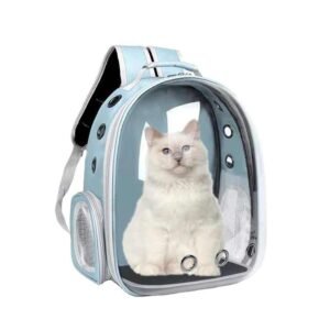 Transparent Space Cat Travel Backpack