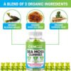 H335f990415f14d72be8c87e51b5a6bddb.jpg_720x720q50.jpg Organic Sea Moss Bladderwrack Gummies