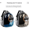 H49c926890fc84cd68a391cae5e503abdG.jpg_720x720q50.png Recycled Transparent Bubble Pet Backpack