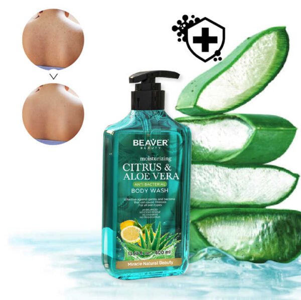 Citrus Aloe Vera Body Wash Set