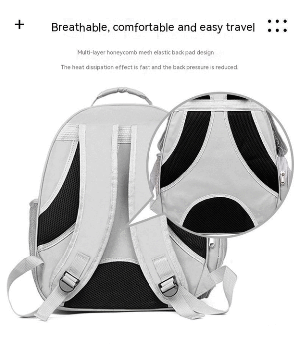 Transparent Pet Carrier Bag