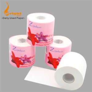 HTB1oEfLM9zqK1RjSZFpq6ykSXXaY.jpg_720x720q50.jpg Premium Soft Toilet Paper Set
