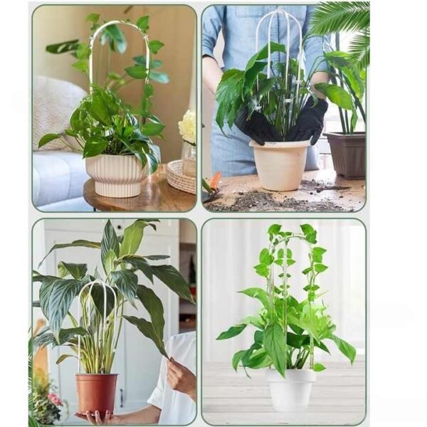 Ha2d0d7a536ec43a493a3d5e745ca03c2B.jpg_720x720q50.jpg Clear Acrylic Plant Support Trellis