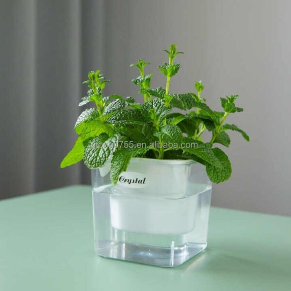 Ha4907e9848b24ae5ac920ac0abd7500eL.jpg_720x720q50.jpg Transparent Self-Watering Resin Planter