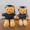 Graduation Plush Teddy Bear Gift