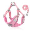 Summer Breathable Dog Harness Leash