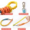 Rainbow Woven Double Dog Leash