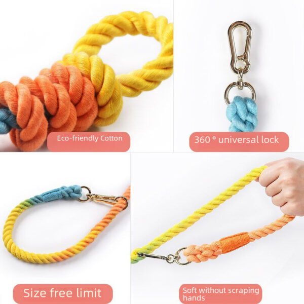 Rainbow Woven Double Dog Leash