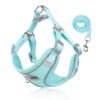 Summer Breathable Dog Harness Leash