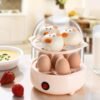 Mini Anti-Dry Egg Cooker