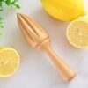555251305 Manual Beech Lemon Juicer