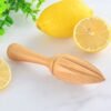 555251306 Manual Beech Lemon Juicer
