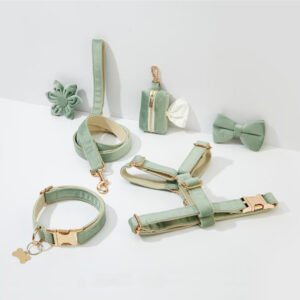 Custom Velvet No-Pull Dog Harness