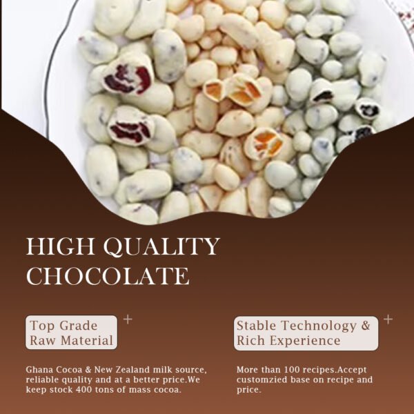 Freeze-Dried Fruit Chocolate Snack Bag