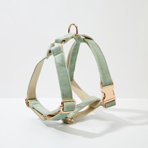 2 Custom Velvet No-Pull Dog Harness