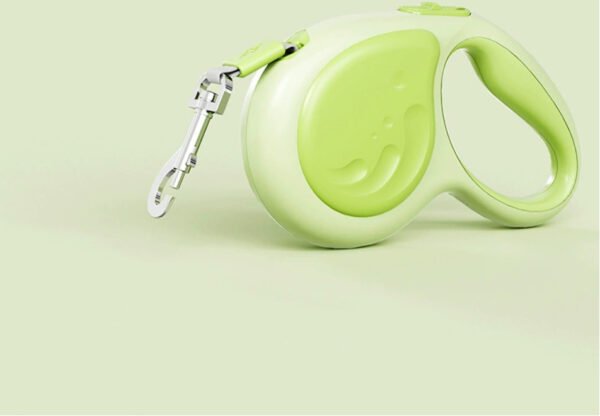 4 LED Pet Collar with Enhanced Night Visibility