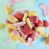 5 Mixed Freeze-Dried Fruit Crisps Snack Pack