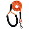 Dog Walking Rope Reflective Tracking Leash