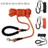 Dog Walking Rope Reflective Tracking Leash