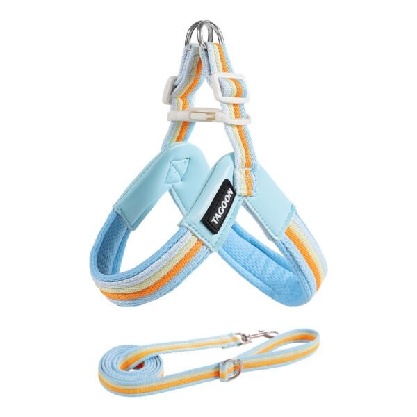 Dog leash chest strap vest