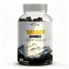 Shilajit Gummies | Energy Gummies | Pure Himalayan Shilajit for Men & Women