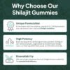 Shilajit Gummies | Energy Gummies | Pure Himalayan Shilajit for Men & Women