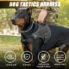 Tactical dog vest: for large dogs (German Shepherd, Golden Retriever) – training, military-style accessories.