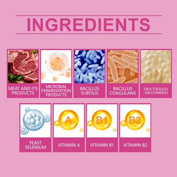 566224901 Dog Probiotic Tablets To Improve Intestinal Health,