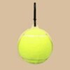 Pet Tennis Rack Set Toy Ball