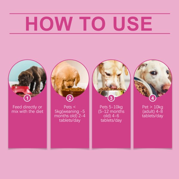 566224902 Dog Probiotic Tablets To Improve Intestinal Health,