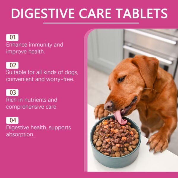 566224899 Dog Probiotic Tablets To Improve Intestinal Health,