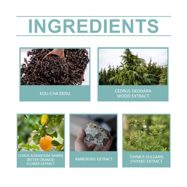 568463275 Hormone Fragrance Men's Perfume