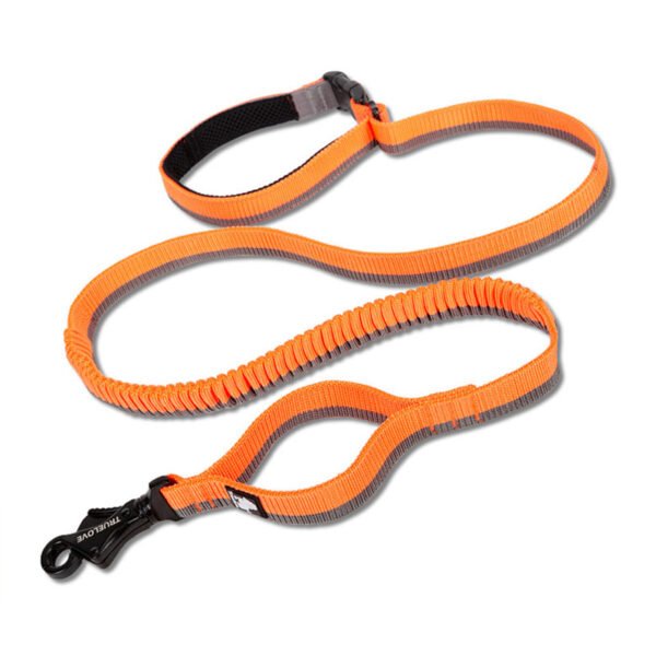 Pet Dog Leash With Elastic Cushioning