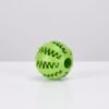 Interactive Rubber Balls Puppy Chewing Toys (Copy)