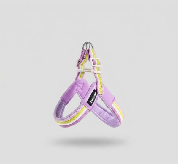 Dog leash chest strap vest style small and medium-sized dog (2) Dog leash chest strap vest (Copy) (Copy)