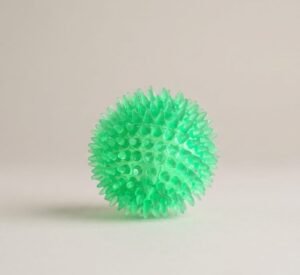 Interactive Pig Face Dog Ball (Copy) (Copy)